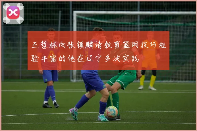 王哲林向张镇麟请教剪篮网技巧经验丰富的他在辽宁多次实践